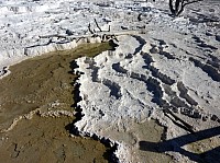 Yellowstone Mammoth Hotsprings (58).JPG